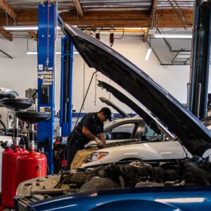 Digital Marketing Case Study for Automotive Service Shop 2 Navigating Algorithm Updates